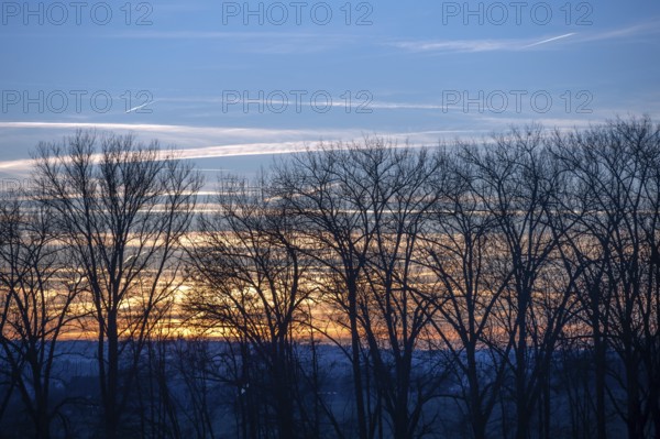 Red evening sky, bare trees in front, Forth, Middle Franconia, Bavaria, Germany