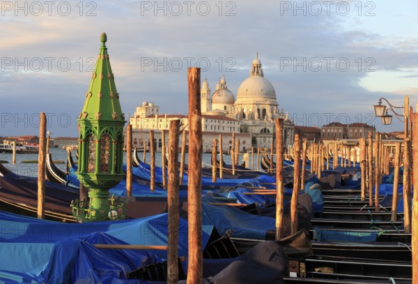 Gondolas in front of the Piazzetta, behind the Basilca di S. Maria della Salute on the Grand Canal, Venice, Veneto, Italy