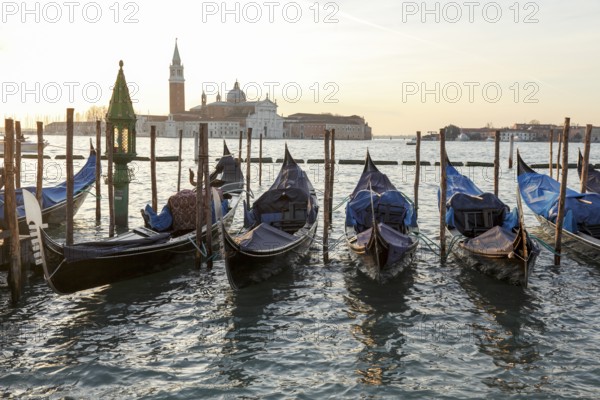 Gondolas in front of the Piazzetta, in the background San Giorgio Maggiore, San Marco, Venice, Veneto, Italy