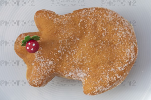 Traditional lucky pig cake served on a plate, as a sweet New Year's pastry and symbol of good luck and a good start to the new year
