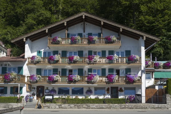 Apartment house with balcony and flowers, typical Bavarian house, town of Tegernsee, Upper Bavaria, Bavaria, Germany