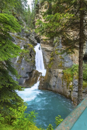Turquoise water flows through johnston canyon in banff national park, alberta, as a waterfall cascades into a pool surrounded by lush green foliage and rocky cliffs