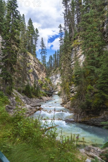 Turquoise water flowing through johnston canyon, a scenic gorge in banff national park, alberta, is framed by lush pine trees and rocky cliffs beneath a cloudy blue sky