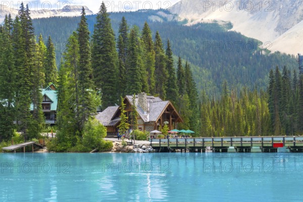Wooden houses of emerald lake lodge resting on the shore of stunning emerald lake, surrounded by coniferous forest and reflecting in turquoise waters of yoho national park