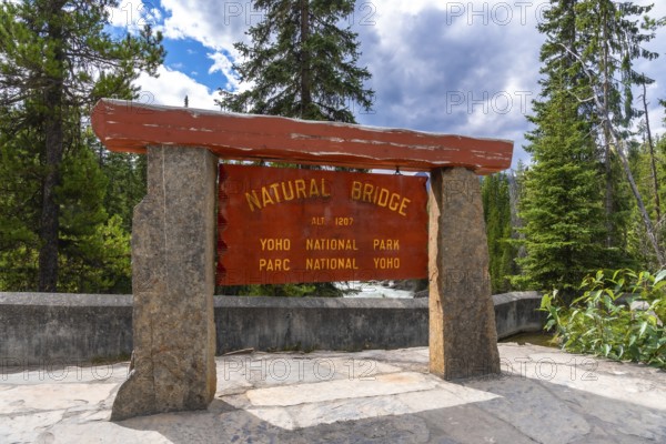 Wooden sign marking the natural bridge in yoho national park, surrounded by lush evergreens and offering a view of the kicking horse river on a sunny summer day