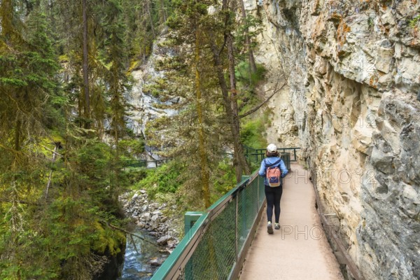 Female hiker walking the johnston canyon catwalk trail, enjoying the scenic beauty of the canyon, river, and forest in banff national park, alberta, canada during summer