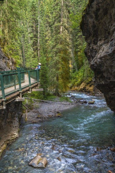 Turquoise water flows through johnston canyon in banff national park as a tourist walks on the catwalk, enjoying the beautiful scenery of the canadian rockies