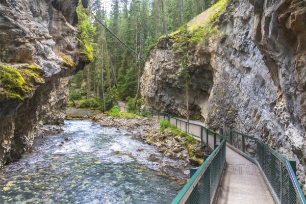The scenic johnston canyon catwalk follows the turquoise bow river through a stunning limestone canyon in banff national park, offering breathtaking views of the canadian rockies