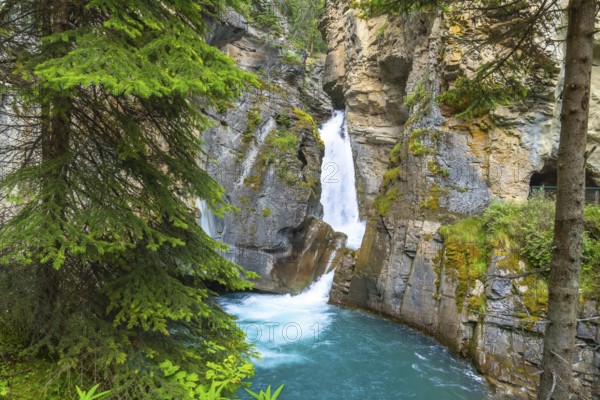 Turquoise water flows through johnston canyon in banff national park, creating a picturesque scene with a waterfall cascading down rocky cliffs framed by lush greenery