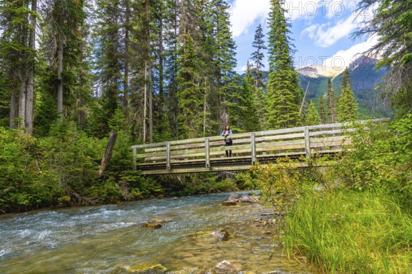 Tourist is standing on a wooden bridge over a pristine stream, admiring the natural beauty of emerald lake and the surrounding mountains in banff national park, alberta
