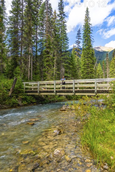 Tourist standing on a wooden bridge over a pristine river, surrounded by lush pine trees and the majestic canadian rockies in banff national park, alberta