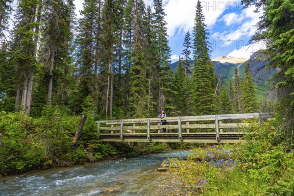 Tourist is standing on a wooden bridge over a clear stream, surrounded by lush green forest and mountains in banff national park, alberta, canada, enjoying the breathtaking view of emerald lake