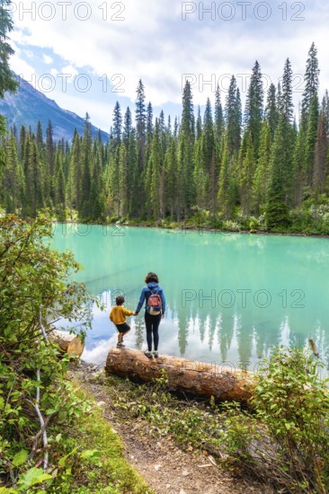 Tourists standing on a log are enjoying the breathtaking view of the turquoise water of emerald lake, surrounded by a lush pine forest and majestic mountains in banff national park, alberta, canada