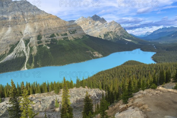 Turquoise water of peyto lake flows through a valley surrounded by mountains and forests in banff national park, creating a breathtaking natural landscape during a sunny summer day