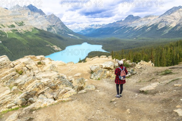 Female hiker admiring the stunning turquoise hues of peyto lake, surrounded by majestic mountains and lush valleys in banff national park, alberta, within the canadian rockies