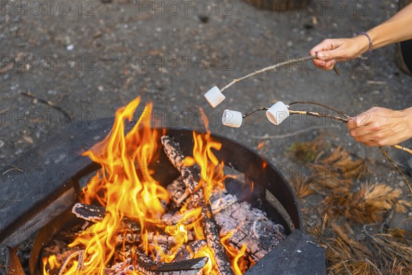 Tourists are roasting marshmallows over a campfire in banff national park, alberta, enjoying a relaxing evening in the canadian rockies near their campervan