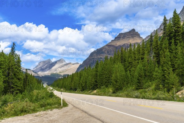 Empty highway stretching through a dense pine forest with the canadian rockies towering in the background under a vibrant blue sky dotted with fluffy white clouds