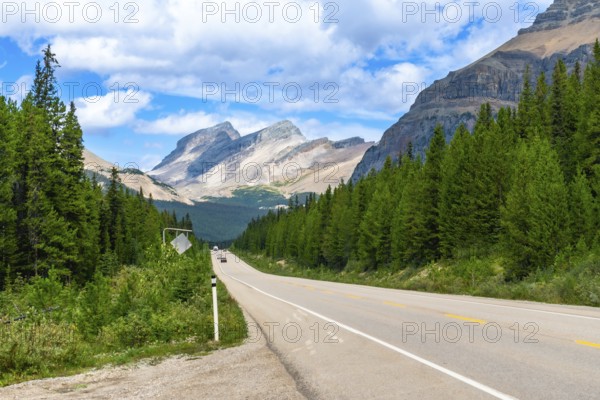 Cars driving on a scenic road leading into the majestic canadian rockies, surrounded by lush green pine forests under a bright blue sky with white clouds, in banff national park, alberta, canada