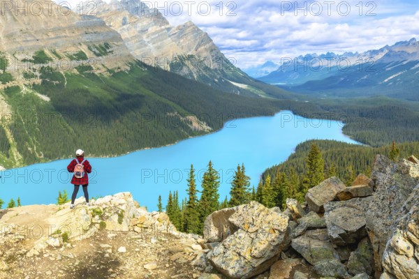 Hiker standing on a rocky cliff, overlooking the turquoise waters of peyto lake, surrounded by majestic mountains and lush forests in banff national park, alberta