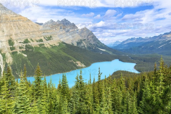 Turquoise peyto lake is shining under a cloudy sky, surrounded by lush vegetation and the imposing canadian rockies in banff national park, alberta