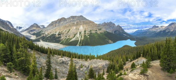 Panoramic view of turquoise peyto lake, surrounded by lush pine forests and towering mountains, a breathtaking natural wonder in banff national park, canadian rockies, alberta, canada