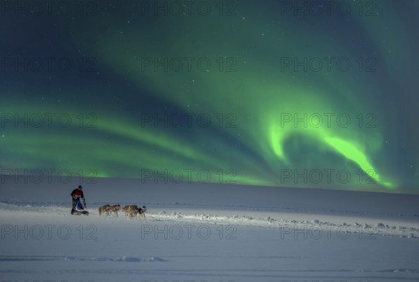 Dog sledding with huskies Northern Lights Norway