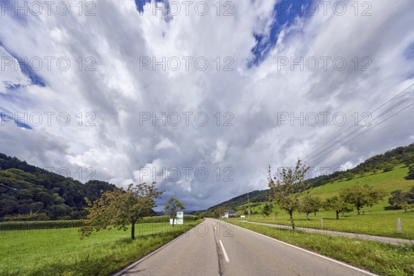 Landscape, landscape photography, hills, coniferous forest, trees, meadow, field, central perspective, sunlight, cloudy, blue sky, stratocumulus clouds, nimbostratus clouds, road An der Niederbruck, Simonswald, Black Forest, Emmendingen district, Baden-Württemberg, Germany