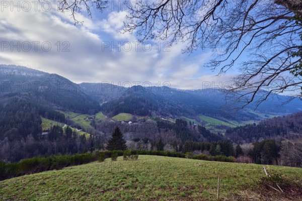 Simonswäldertal Dreitälerblick, landscape photography, landscape, hills, coniferous forest, homesteads, trees, meadow, branches, haze, blue sky, cumulus clouds, stratocumulus clouds, L173, Simonswald, Black Forest, Emmendingen district, Baden-Württemberg, Germany