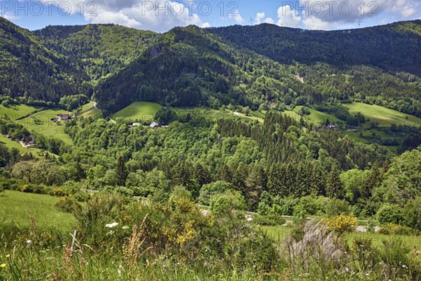 Simonswäldertal Dreitälerblick, Zweribach, landscape photography, hills, hilly landscape, coniferous forest, trees, meadow, homesteads, bird's eye view, elevated perspective, cloud shadow, blue sky, cumulus clouds, L173, Simonswald, Black Forest, Emmendingen district, Baden-Württemberg, Germany