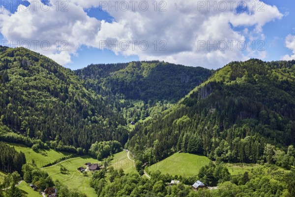 Simonswäldertal Dreitälerblick, Zweribach, landscape photography, hills, hilly landscape, coniferous forest, trees, meadow, homesteads, bird's eye view, elevated perspective, blue sky, cumulus clouds, L173, Simonswald, Black Forest, Emmendingen district, Baden-Württemberg, Germany