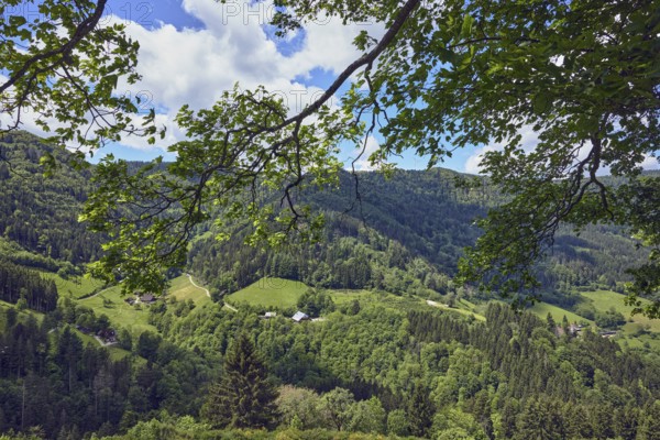 Simonswäldertal Dreitälerblick, Zweribach, hilly landscape, hills, coniferous forest, trees, meadow, branches, farmsteads, bird's eye view, blue sky, cumulus clouds, L173, Simonswald, Black Forest, Emmendingen district, Baden-Württemberg, Germany