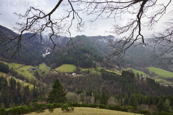 Simonswäldertal, Dreitälerblick, Wildgutach. Zweribach. Obersimonswald., hills, trees, coniferous forest, branches, bare winter tree, meadow, farmsteads, foggy, dull, cloudy, fog, Simonswald, Black Forest, Emmendingen district, Baden-Württemberg, Germany