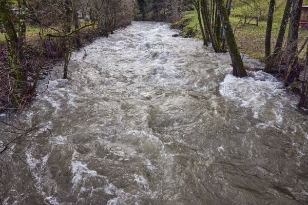 Wilde Gutach river, unpaved bank, trees, meadow, diffuse light, lively wavy water surface, diffuse light, Simonswald, Black Forest, Emmendingen district, Baden-Württemberg, Germany