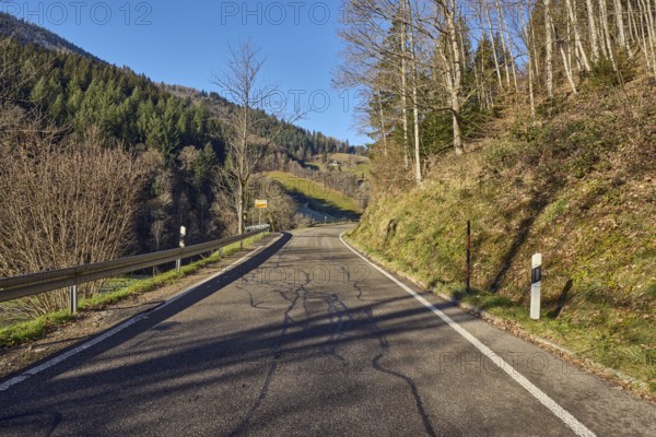 Landscape photography, hills, hilly landscape, road, coniferous forest, trees, meadow, guardrail, guide post, blue sky, cloudless, Gutenstraße, Simonswald, Black Forest, Emmendingen district, Baden-Württemberg, Germany