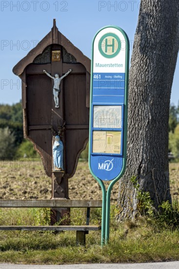 MVV bus stop at a traditional field cross, wayside cross, bench and oak (Quercus) in a field, wasteland in the countryside, public transport, Anzing, Upper Bavaria, Bavaria, Germany