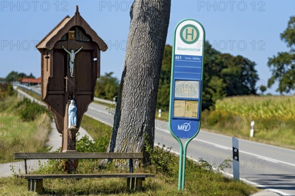 MVV bus stop at traditional crossroads, wayside cross, bench and oak (Quercus) between fields, wasteland in the countryside, public transport, Anzing, Upper Bavaria, Bavaria, Germany