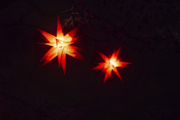 Shining stars on a tree, Raunacht, winter, Waldburg Castle, Waldburg, Allgäu, Baden-Württemberg, Germany