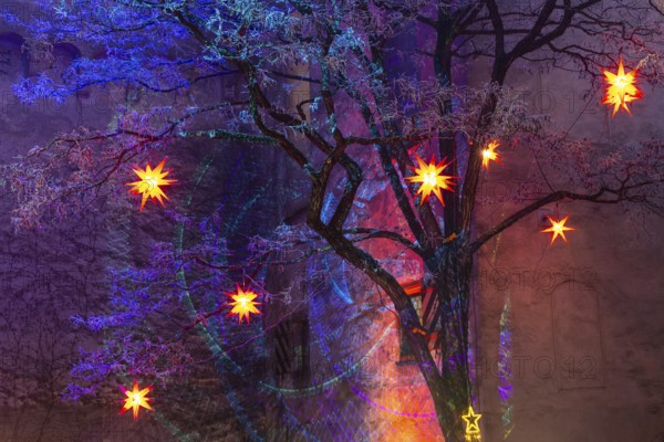 Shining stars on a tree, illumination, murmuring, winter, Waldburg Castle, Waldburg, Allgäu, Baden-Württemberg, Germany