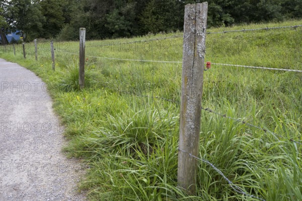 Elektrozaun an einer Weide, Ort Tegernsee, Upper Bavaria, Bavaria, Germany