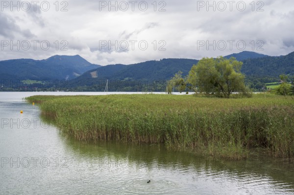 Landschaft am Tegernsee, Gmund, Upper Bavaria, Bavaria, Germany