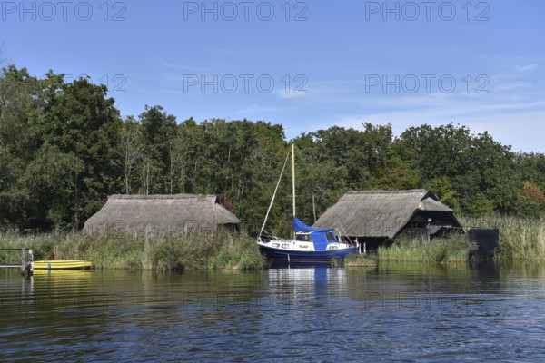 Sailing boat on Prerower Strom, Prerow, Darß, Mecklenburg-Western Pomerania, Germany