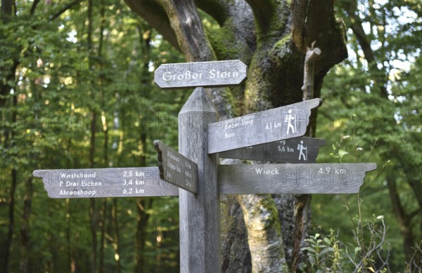 Signpost in the jungle at Großer Stern auf dem Darß, Mecklenburg-Western Pomerania, Germany