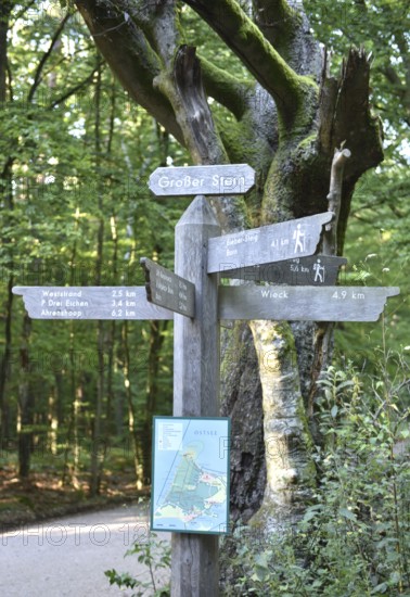Signpost in the jungle at Großer Stern auf dem Darß, Mecklenburg-Western Pomerania, Germany