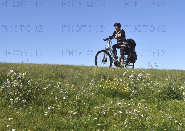 Woman riding a bicycle on a dike on the Darß peninsula, Mecklenburg-Western Pomerania, Germany