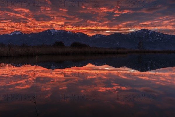 Lake, reflection, snow, cold, mountains, winter, morning light, morning mood, morning red, cloud atmosphere, view of Benediktenwand, Rabenkopf, Jochberg, Bavarian Alps, Bavaria, Germany