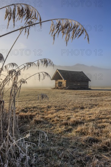 Hut, wooden hut, morning light, sunny, frost, hoarfrost, cold, grasses, reeds, winter, fog, mountains, Loisach-Lake Kochel-Moors, view of Herzogstand, Heimgarten, Alpine foothills, Bavaria, Germany