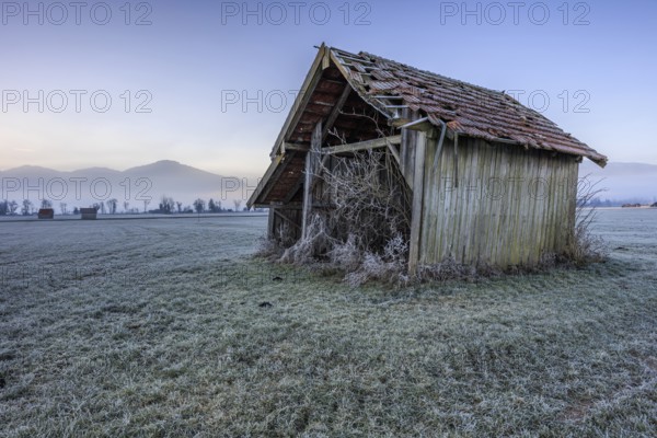 Hut, wooden hut, dilapidated, frost, cold, winter, fog, mountains, Loisach-Lake Kochel-Moore, foothills of the Alps, Bavaria, Germany