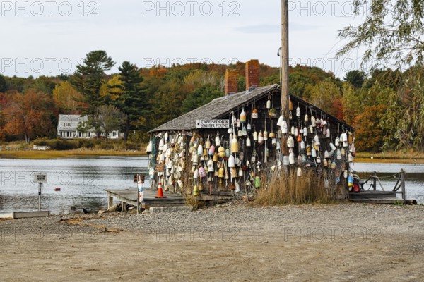 Numerous lobster buoys, decoration at former fishing lodge, seafood restaurant, lobster specialty, Ogunquit, Maine, New England, USA
