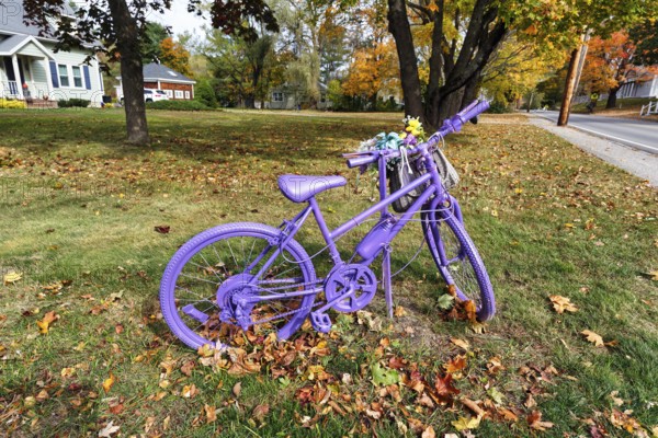 Purple painted bicycle with flowers, roadside decoration, autumn leaves in meadow, Ogunquit, Maine, New England, USA