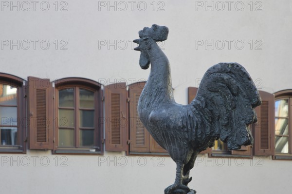 Göckelesbrunnen by Karl Ulrich Nuss 2013 with rooster figure, rooster, modern art, bronze sculpture, Gockelbrunnen, Reutlingen, Swabian Jura, Baden-Württemberg, Germany